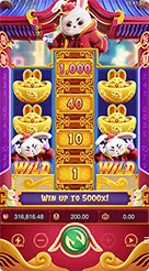 Fortune Rabbit